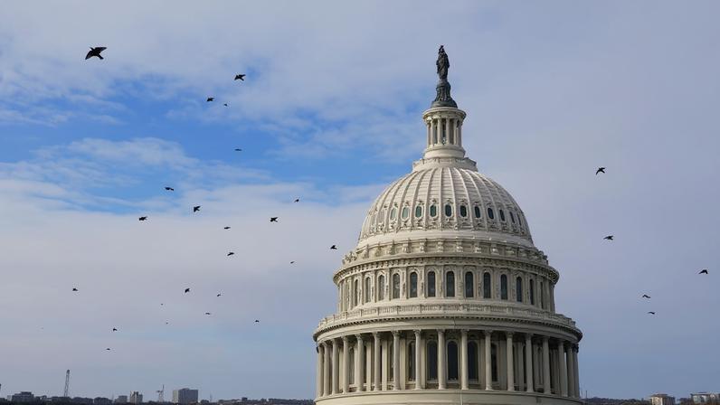 The U.S. Capitol building in Washington