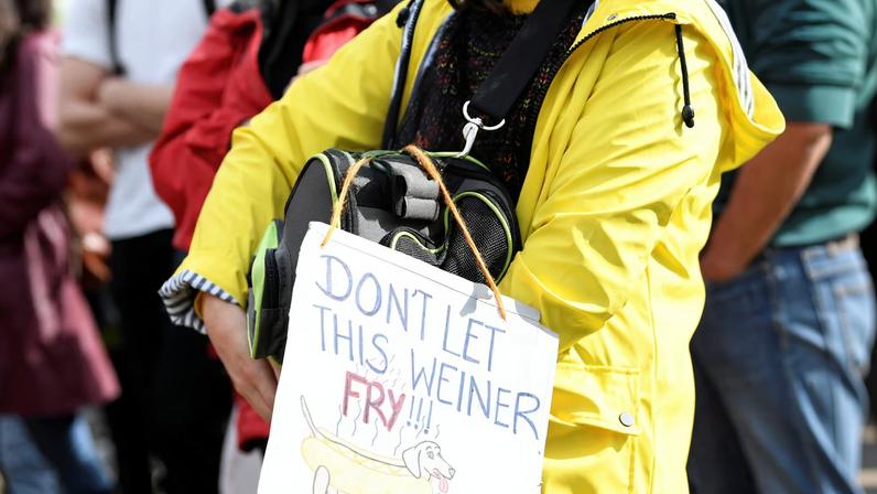 Protest march to call for action against climate change in The Hague