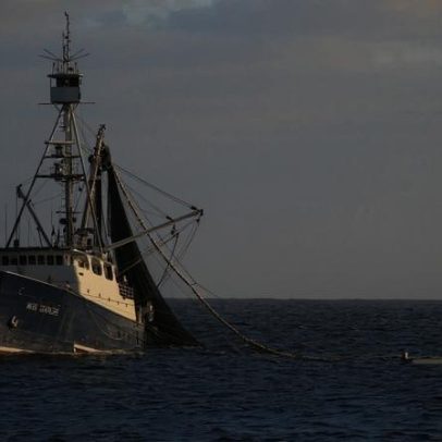 Estudo rastreia barcos de pesca para entender calor e distribuição de peixes
