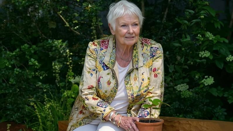 Dame Judi Dench holds a seedling from the Sycamore Gap tree. The actor has spoken out about protecting London’s public land from private use ‘before it’s too late’.