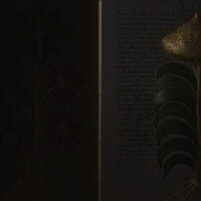 Novo ciframento pode ajudar a explicar o enigmático Manuscrito Voynich