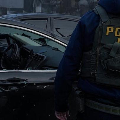 Repórter anti-Trump relata oferta de cargo no ICE após checagem mínima