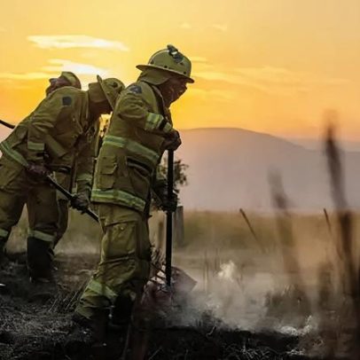 Uma pessoa morta e 300 prédios destruídos em incêndios florestais na Austrália