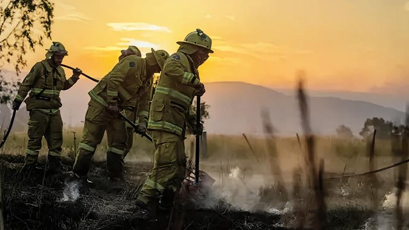 Uma pessoa morta e 300 prédios destruídos em incêndios florestais na Austrália