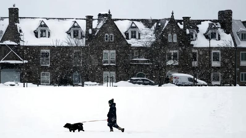 Person walking dog in snow