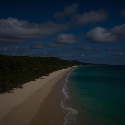 Corpo de mulher é encontrado cercado por dingos na ilha K’gari, Austrália