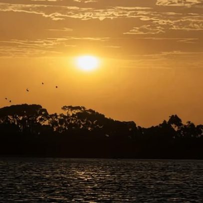 Onda de calor histórica pode atingir NSW e Queensland com mais de 45°C