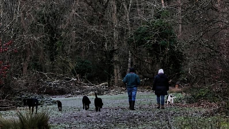 Neve e gelo atingem grande parte do Reino Unido no início do Ano Novo