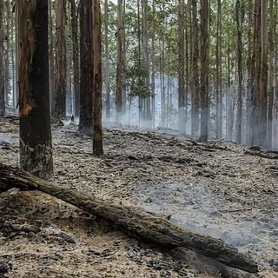 Incêndio nos Otways pode reativar com calor no norte de Victoria