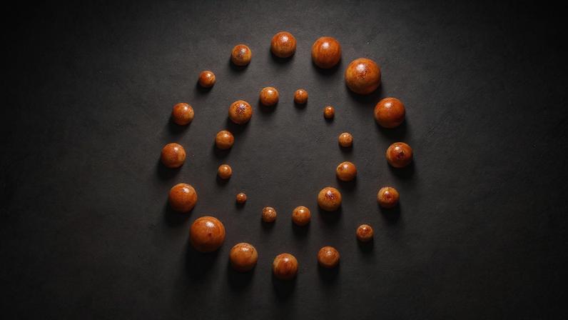 Polícia cambojana e sul-coreana prendem 26 golpes e crimes sexuais, Casa Azul