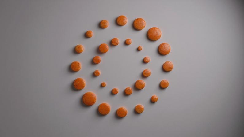 Três ativistas pró-Palestina detidos encerram greve de fome