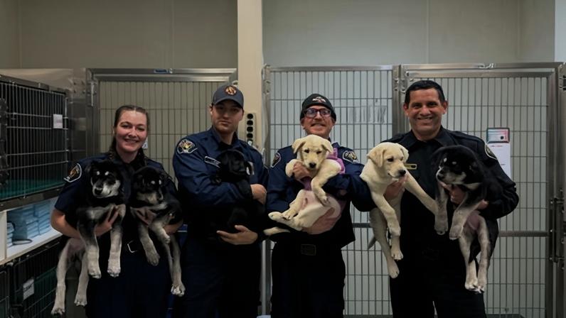 Battalion chief Brandon Vargas, right, joined by fire department personnel holding six puppies that are recovering after first responders treated them for a suspected drug overdose on 12 January 2025, at the Pilchuck veterinary hospital in Snohomish, Washington.