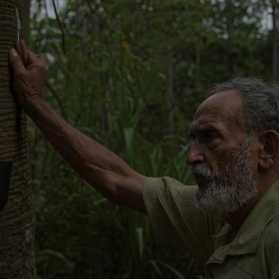 Brasil aposta que redução da pobreza pode proteger a Amazônia