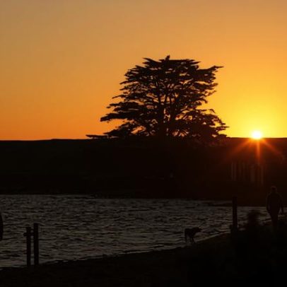 Calor extremo atinge o sul da Austrália; áreas em alerta para incêndios