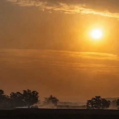 Onda de calor expõe hipocrisia da política de combustíveis fósseis da Austrália