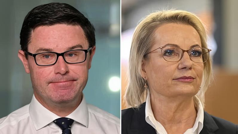 David Littleproud and Sussan Ley.