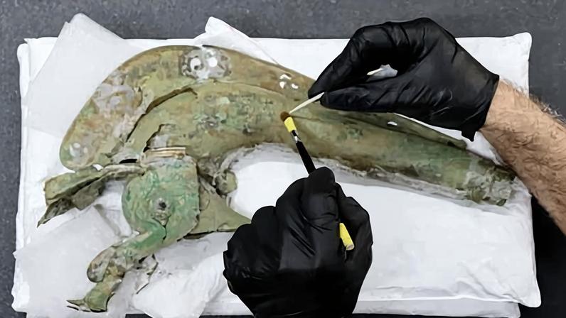 The bronze trumpet or carnyx is the most complete example discovered anywhere in the world.