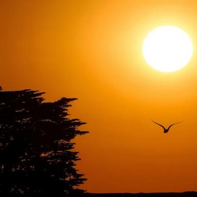 Calor extremo na Austrália eleva risco de incêndios na Victoria; Sydney pode atingir 43°C