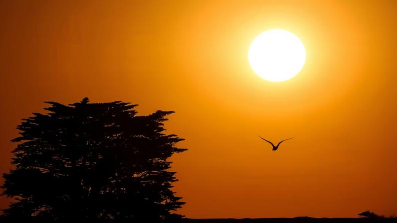 A heatwave engulfing much of Australia this week is continuing into the weekend, with bushfires raging in Victoria and Sydney’s weather forecast to reach 43C.
