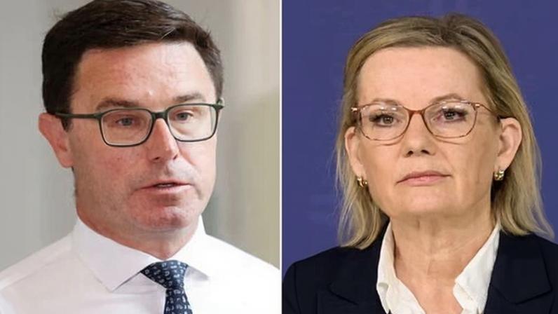 The Coalition has been plunged into chaos after the Nationals quit Sussan Ley’s shadow cabinet en-masse following a split over Labor’s hate speech laws.