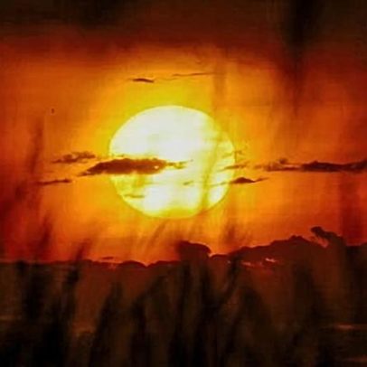 Onda de calor em Victoria pode alcançar recorde histórico de temperaturas