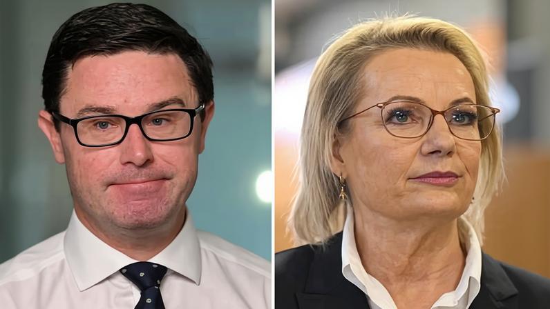 David Littleproud (left) dug in on Friday, continuing to blame Sussan Ley for the Coalition split, and claiming he had tried to ‘avert it’. Composite: Mick Tsikas/Lukas Coch/AAP