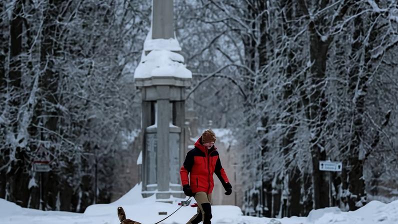 A dog walker makes their way through snow in Huntly in Aberdeenshire, Scotland.