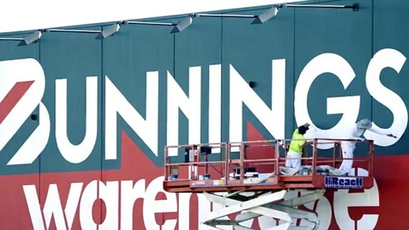 The Wilderness Society has asked the ACCC to investigate Bunnings as it may be selling unlawfully logged timber, despite its policies and websites promoting responsible sourcing.