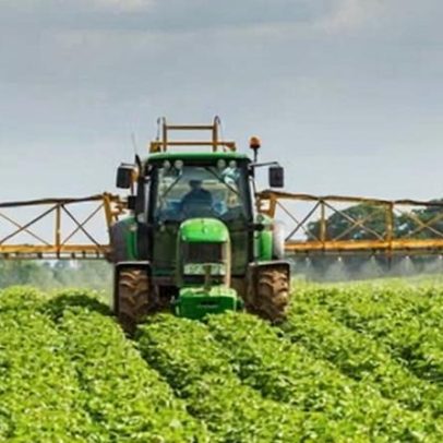 Setor alimentício pede período de transição após acordo Reino Unido–UE