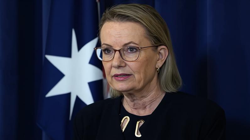 Opposition leader Sussan Ley did not comment on Labor’s hate speech and gun law legislation while in her electorate of Farrer on Wednesday.