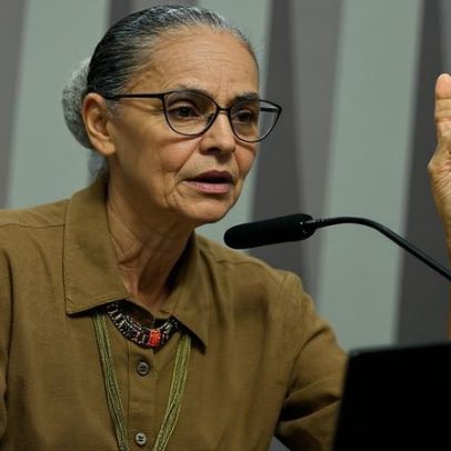 Acordo Mercosul-UE segue alinhado a metas ambientais, afirma ministra