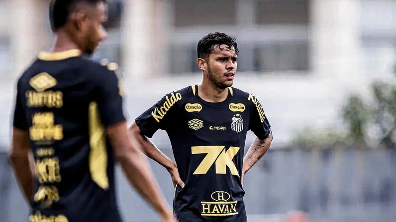 Hyan está de saída do Santos (Foto: Raul Baretta/ Santos FC)