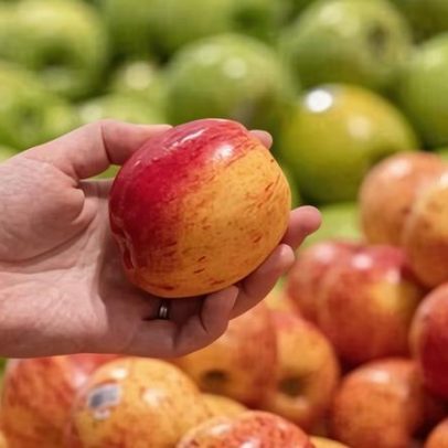 Misturas de pesticidas poluem maçãs em toda a Europa, aponta estudo