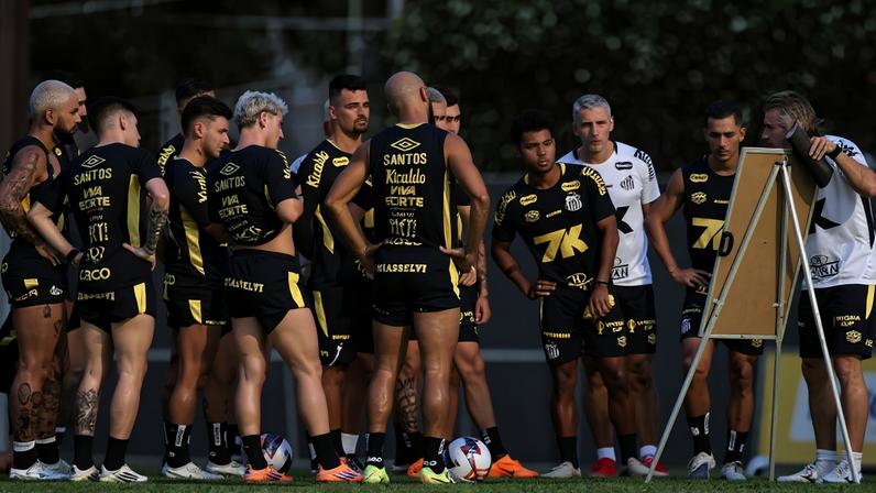 Santos passa por mudanças no elenco (Foto: Raul Baretta/ Santos FC)