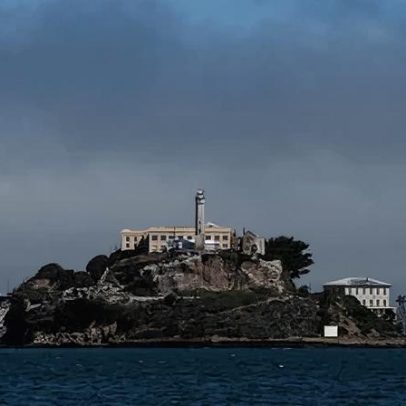 Coiote surpreende ao nadar em águas agitadas até Alcatraz