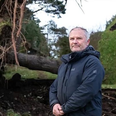 Ponto turístico da Cornualha perde 80% das árvores com a tempestade Goretti