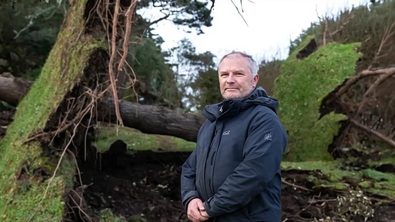 Ponto turístico da Cornualha perde 80% das árvores com a tempestade Goretti