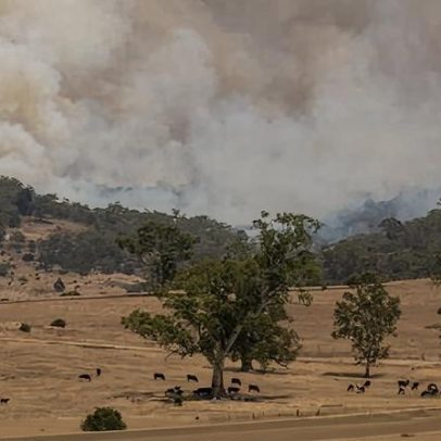 Ondas de calor no sudeste da Austrália podem quebrar recordes de temperatura