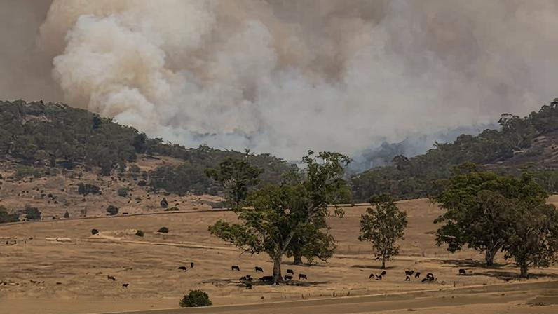 Fires were still burning in many parts of Victoria after an intense heatwave earlier in January, which analysts said was made five times more likely due to global heating.