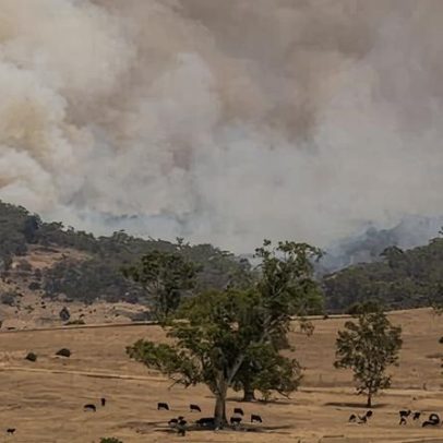 Calor intenso pode quebrar recordes no sudeste da Austrália com alto risco de incêndios