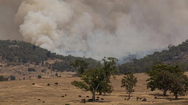 Fires were still burning in many parts of Victoria after an intense heatwave earlier in January, which analysts said was made five times more likely due to global heating.