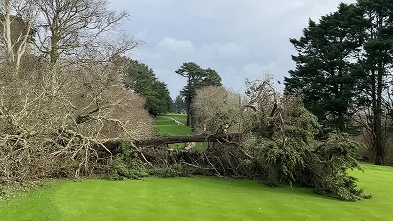 Some trees fell across fairways at Truro Golf Club