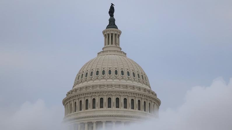The dome of the U.S. Capitol is framed by snow on 24 January 2026 in Washington, DC.