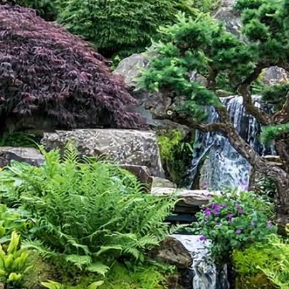 RHS revela planos para proteger jardins britânicos de futuras crises hídricas