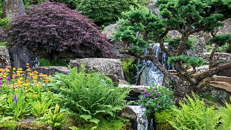 A small waterfall in a rock garden at RHS Garden, Wisley.