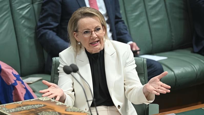 Senior Liberals believe Sussan Ley will lose her position as leader, as one MP said ‘you can’t come back from this’. Photograph: Mick Tsikas/AAP