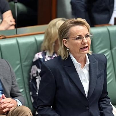 Partido Nacional pede Sussan Ley decidir destino após voto em discurso de ódio