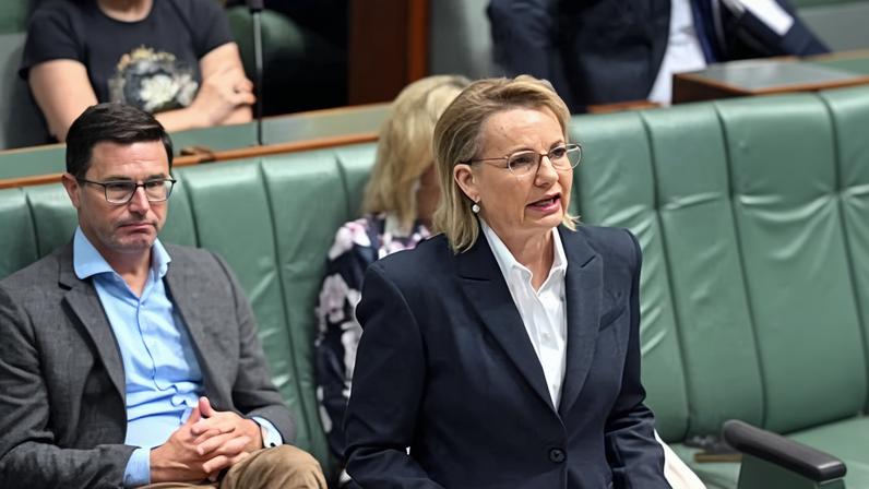 It is unclear whether Coalition leader Sussan Ley accept the resignations of opposition frontbenchers who crossed the floor to vote against Labor’s hate speech bill.