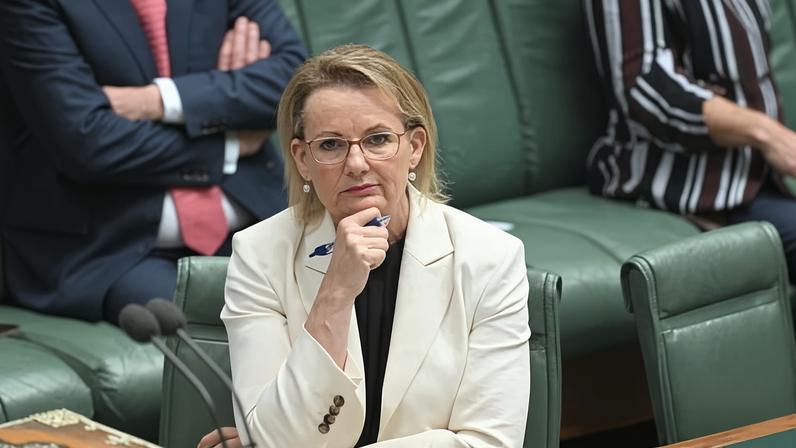 Sussan Ley has lasted longer as Liberal leader than Alexander Downer during his tenure in the top job.