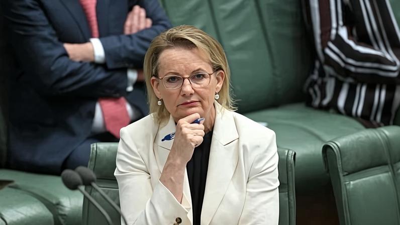 Sussan Ley is staring down a campaign from rightwing Liberal members to end her leadership. Ley’s allies are increasingly confident the opposition leader will not face a leadership spill over the latest split with the Nationals.